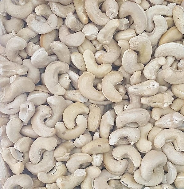 CASTANHA DE CAJU CRUA 100G