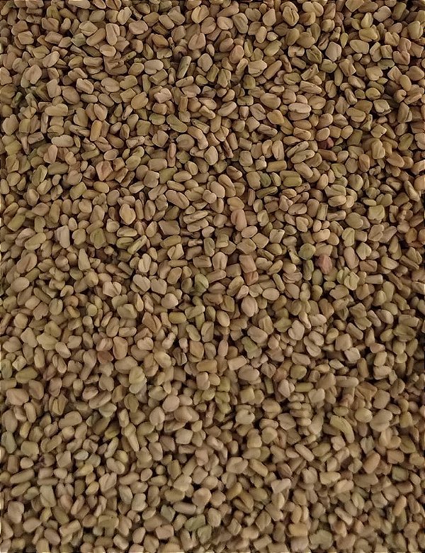 FENO GREGO GRAOS 100G