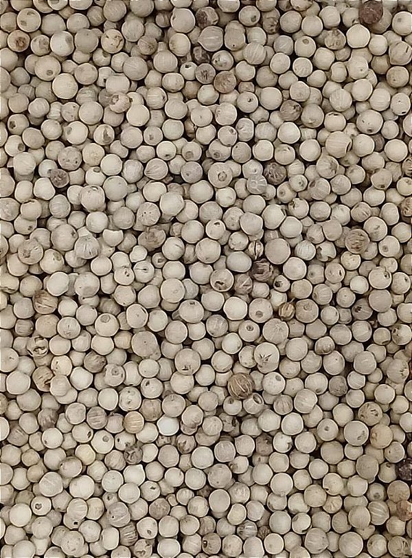 PIMENTA BRANCA GRAOS 100G