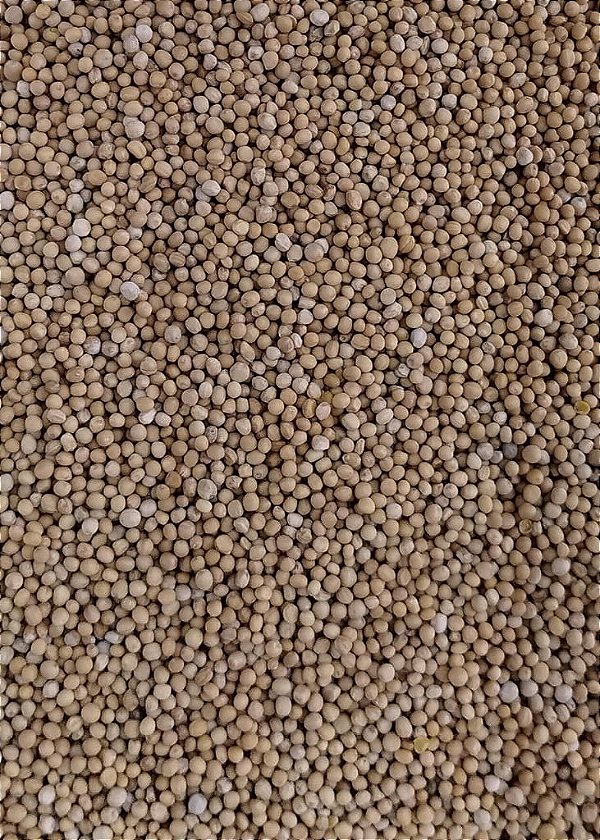 MOSTARDA EM GRAO 100G