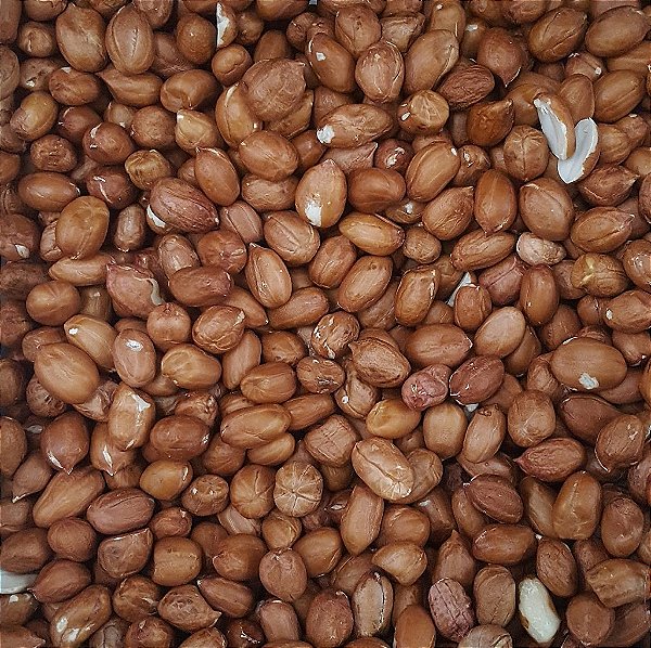 AMENDOIM CRU C/ PELE 100G