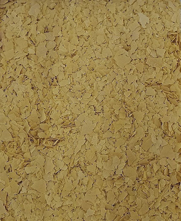 LEVEDURA NUTRICIONAL 100G