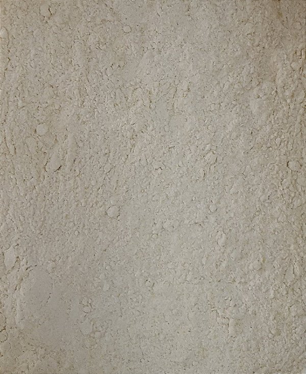 FARINHA DE FEIJAO BRANCO 100G