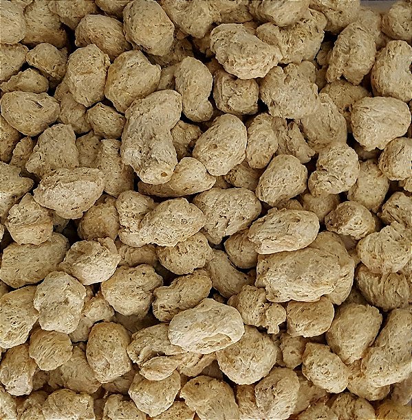 PROTEINA DE SOJA GRAUDA CLARA 100G