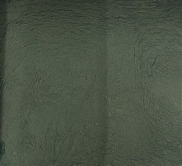 SPIRULINA EM PÓ 100G