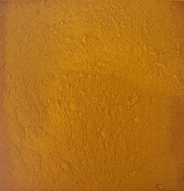 AÇAFRÃO DA TERRA / CÚRCUMA EM PÓ **PREMIUM** 100G