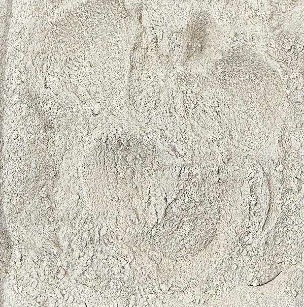 FARINHA DE TRIGO INTEGRAL 100G