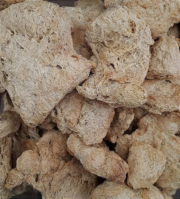 BIFE DE SOJA CLARO 100G