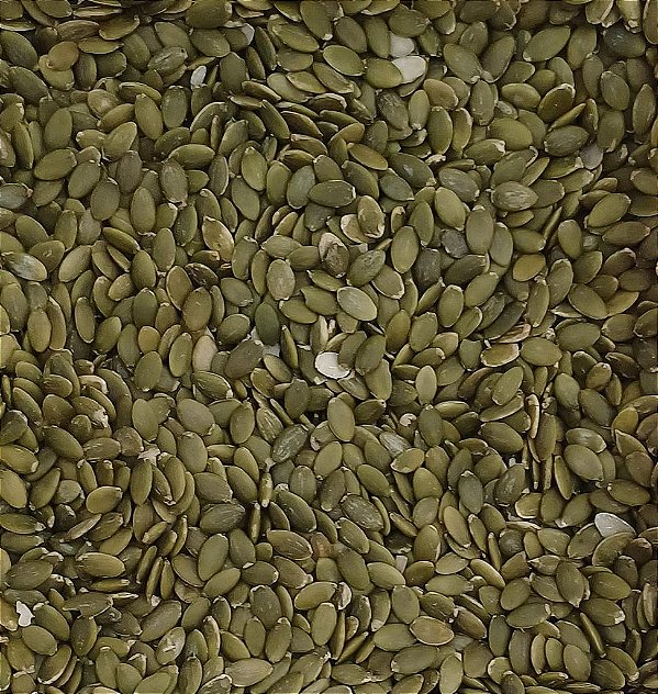 SEMENTE DE ABÓBORA S/ CASCA S/ SAL 100G