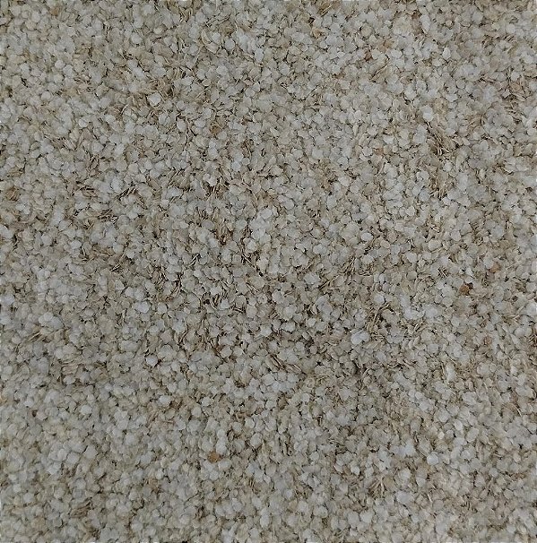 QUINOA EM FLOCOS 100G