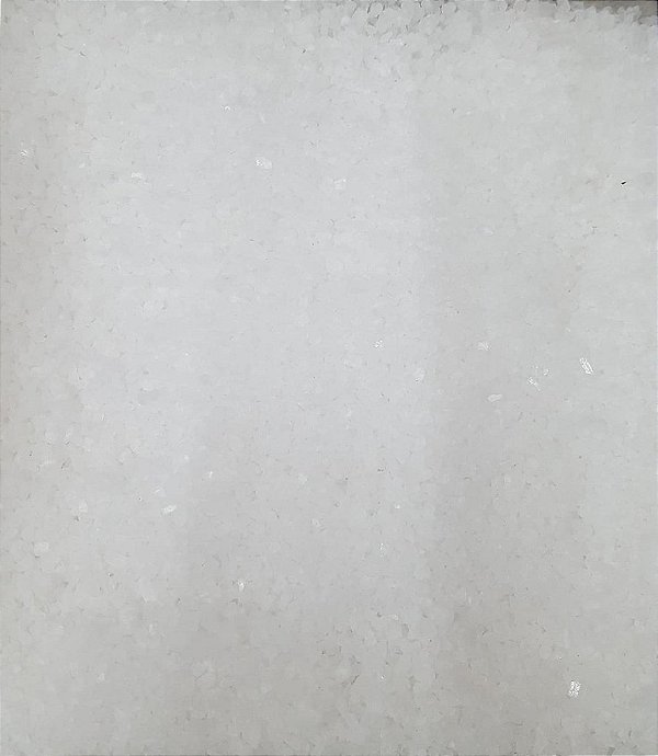 SAL MARINHO GROSSO 100G