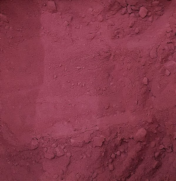 BETERRABA EM PO 100G