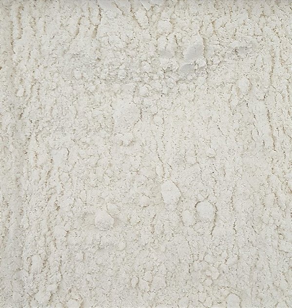 WHEY PROTEIN CONCENTRADO 100% PURO 100G