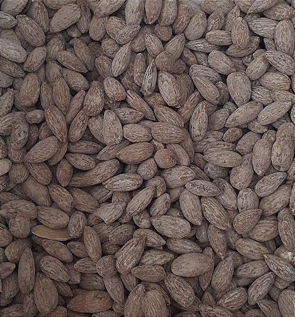 AMENDOA TORRADA E SALGADA 100G