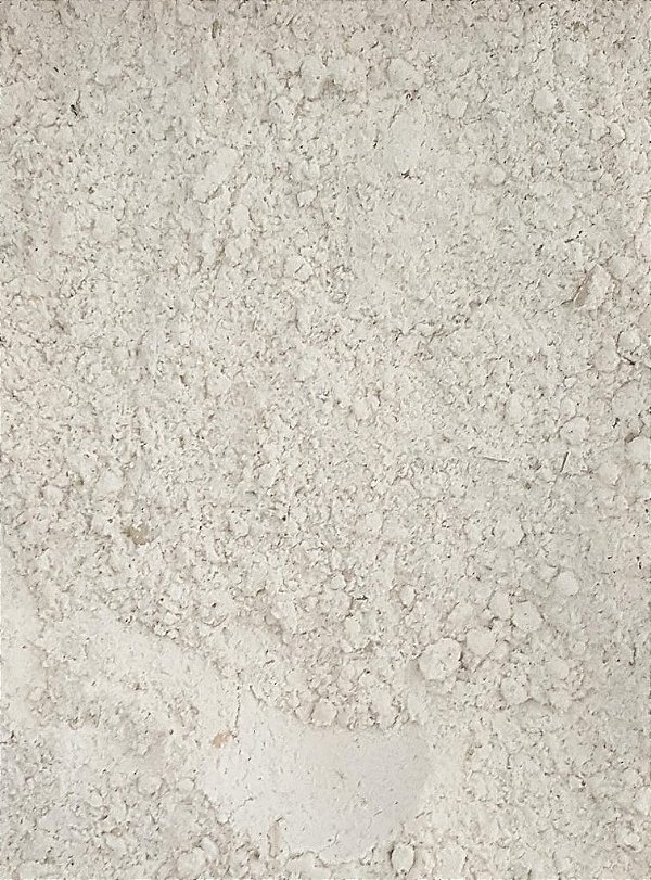 AMACIANTE DE CARNE 100G