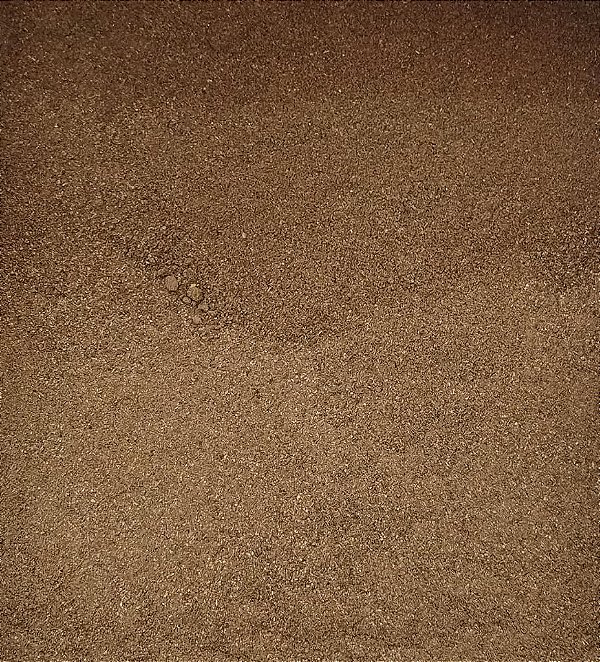 CRAVO DA INDIA EM PO 100G