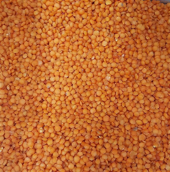 LENTILHA VERMELHA 100G