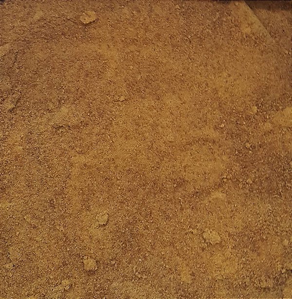 AÇUCAR DE COCO - 100G