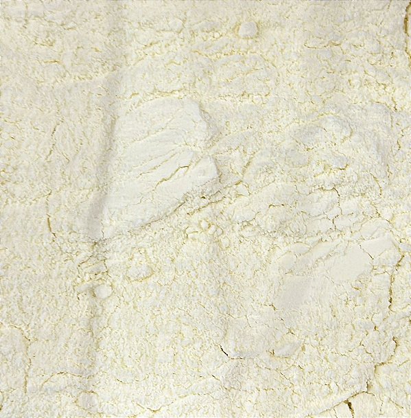 LEITE EM PO INTEGRAL - 100G