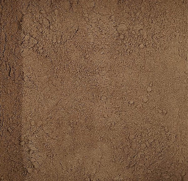 GUARANÁ EM PÓ 100G