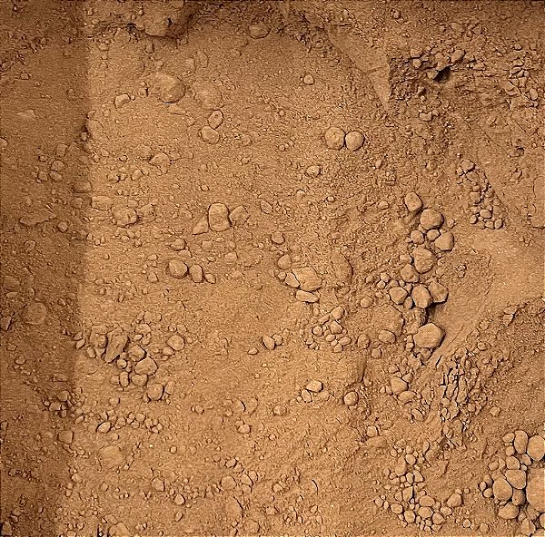 ALFARROBA EM PO - 100G