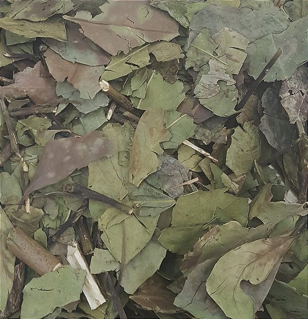 CHA VERDE NACIONAL 100G