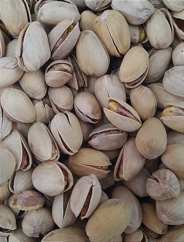 PISTACHE TORRADO C/ CASCA 100G