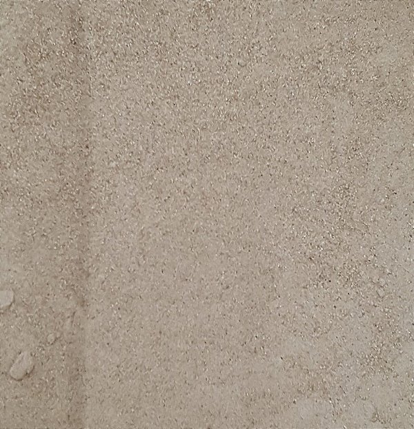 LEVEDO DE CERVEJA EM PÓ 100G