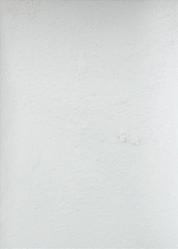 AÇUCAR DE MAÇA - 100G