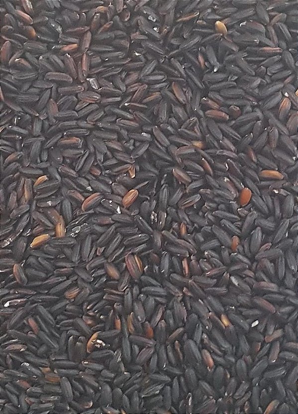 ARROZ PRETO 100G