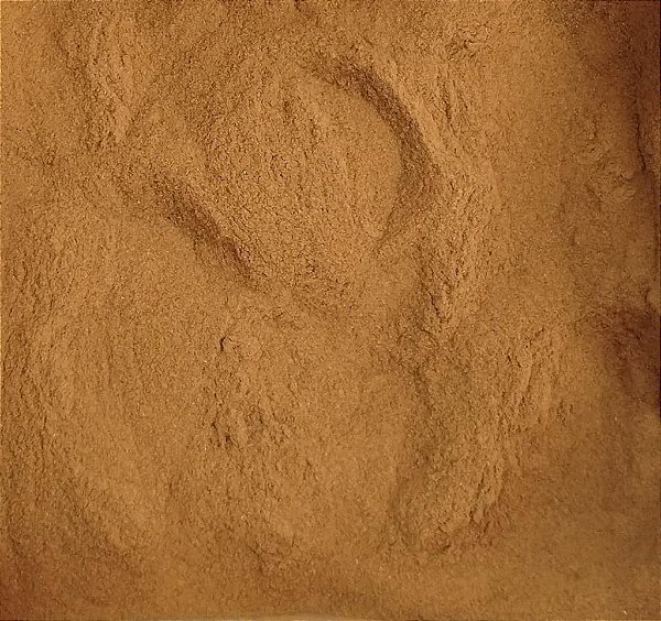 CANELA EM PÓ PREMIUM 100G