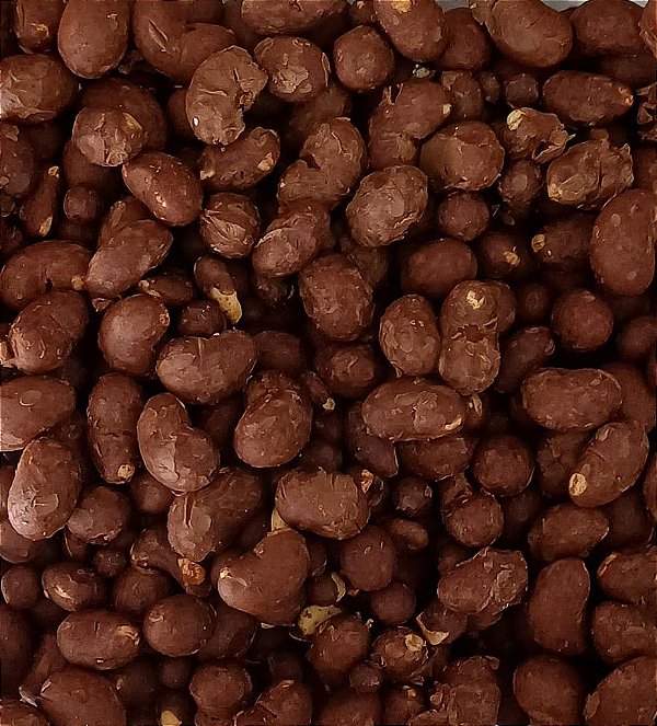 CASTANHA DE CAJU C/ CHOC. MEIO AMARGO 100G