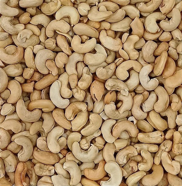 CASTANHA DE CAJU TORRADA S/SAL 100G