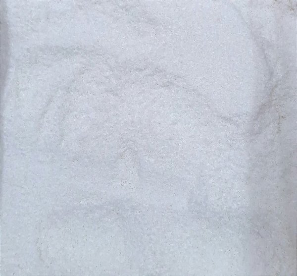 COCO RALADO S/ AÇUCAR 2 100G