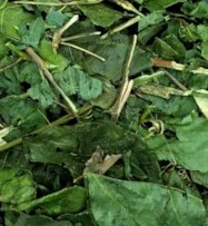 MARACUJA FOLHA ( PASSIFLORA ) 100G