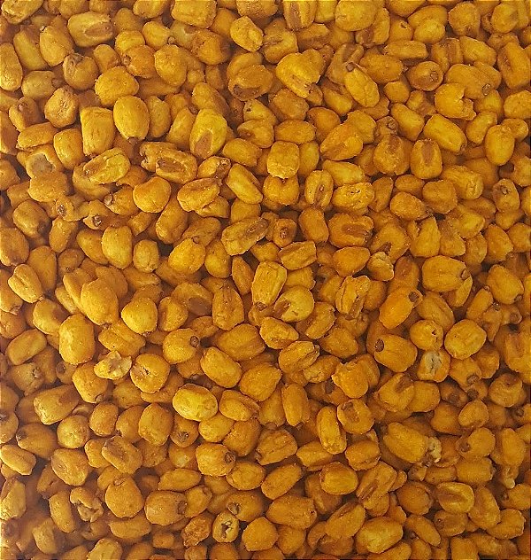 MILHO CROCANTE CHURRASCO 100G