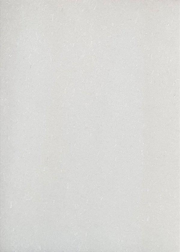 AJINOMOTO / GLUTAMATO 100G