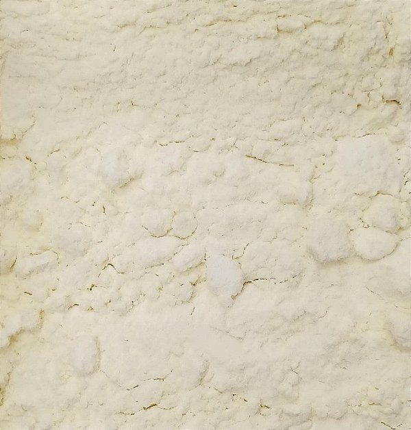 LEITE EM PO INT. ZERO LACTOSE - 100G