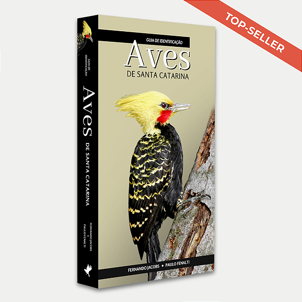 Guia de Identificação: Aves de Santa Catarina