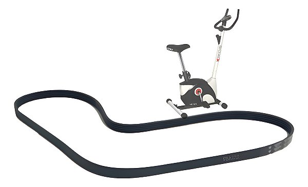 Correia Para Bicicleta Ergométrica Kikos Kv 3.1