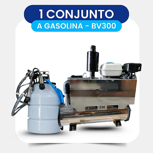 ORDELEITE 4G BV300 COM MOTOR A GASOLINA C/ 1 CONJUNTO