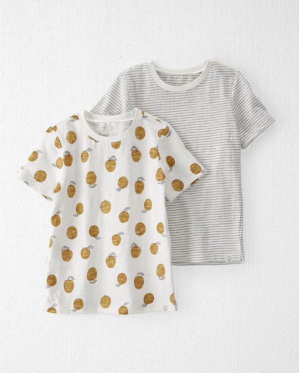 KIT 2 CAMISETAS MANGA CURTA LITTLE PLANET by CARTER'S - FRUTINHAS - MENINO