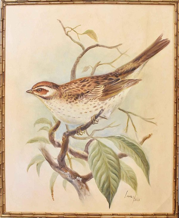 Quadro lona pintada a óleo pássaro 2