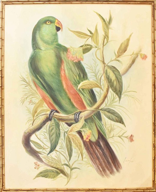 Quadro lona pintada a óleo pássaro 5