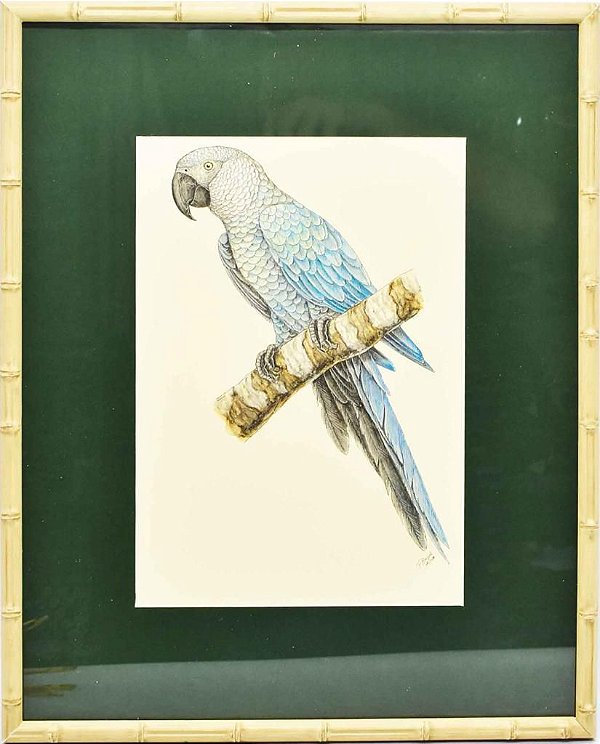 Quadro de Pássaro 4 com Passpatour verde e faux bamboo
