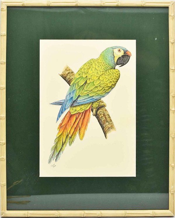 Quadro de Pássaro 11 com Passpatour verde e faux bamboo