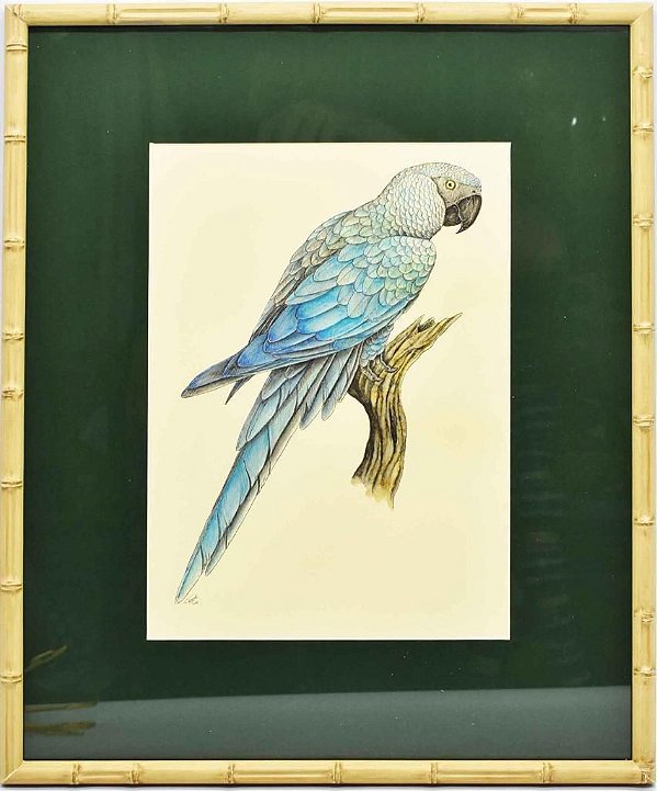 Quadro de Pássaro 12 com Passpatour verde e faux bamboo