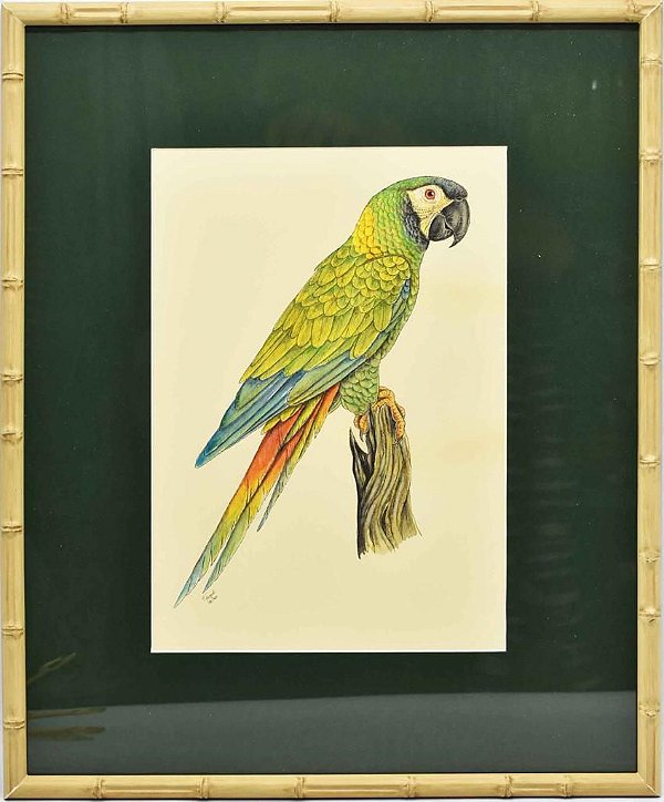Quadro de Pássaro 13 com Passpatour verde e faux bamboo