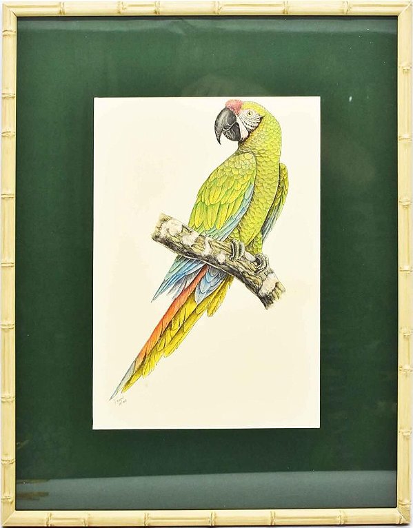 Quadro de Pássaro 14 com Passpatour verde e faux bamboo