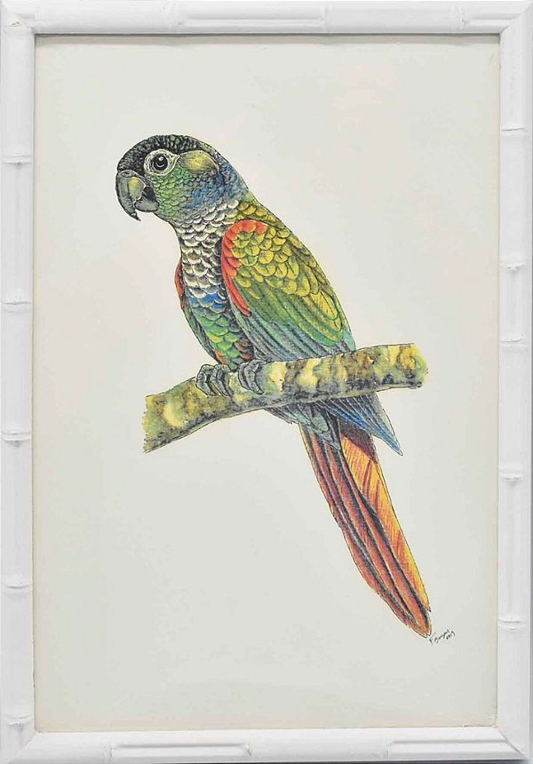 Quadro de pássaro 4 moldura faux bamboo branca